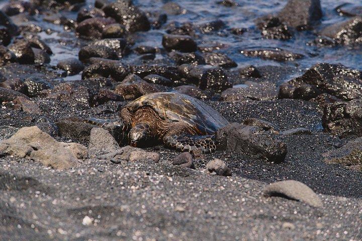 Volcanoes, Beaches and Waterfall Highlights Private Guided Tour