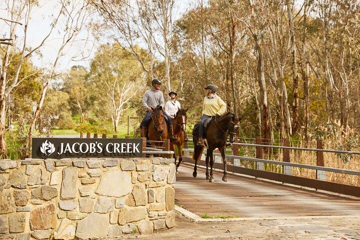 Vineyard Trail Ride and Taste em Jacobs Creek