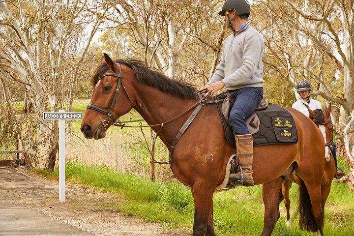 Vineyard Trail Ride and Taste em Jacobs Creek