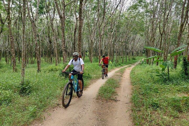 プーケットからサイクリングするタイムアンの絶景滝と湖