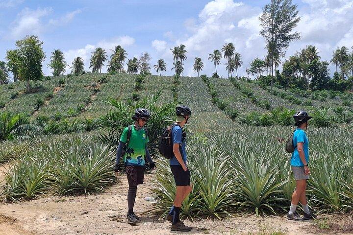 Thai Mueang Scenic Countryside Bike Tour da Khao Lak