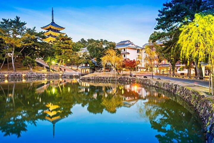 Tour di un'intera giornata a Nara con pick up e drop off in hotel