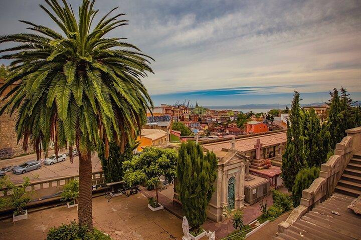 Tour privato da Santiago a Valparaíso e Casablanca Wine Valley
