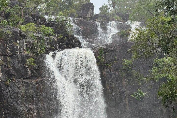 Airlie Beach: Cedar Creek Express (cruise ship friendly)
