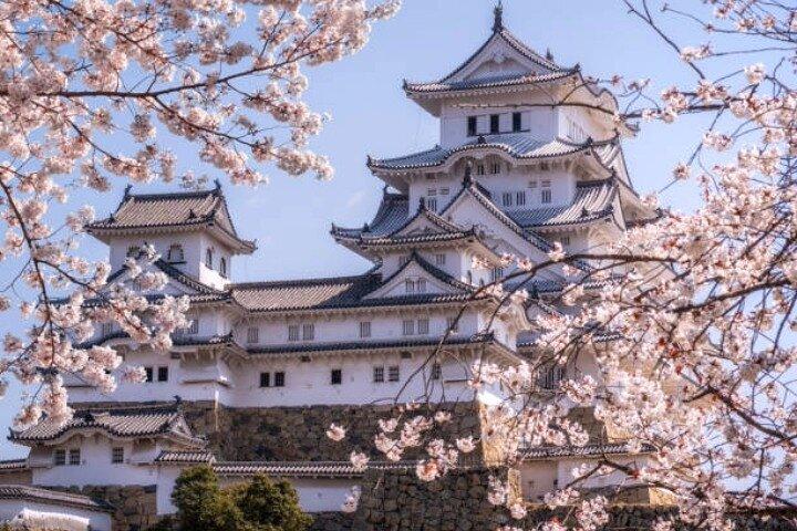Privé dagtocht Himeji en Kobe