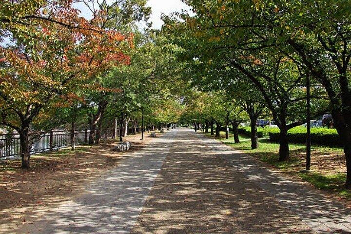 Privé dagtocht Himeji en Kobe
