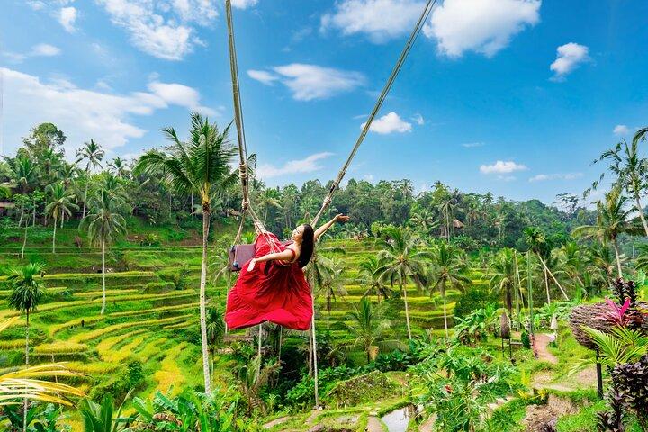 Tour Privado em Ubud: Waterfalls, Temple and Rice Terraces Swing