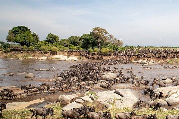 6 giorni al meglio del Kenya Safari