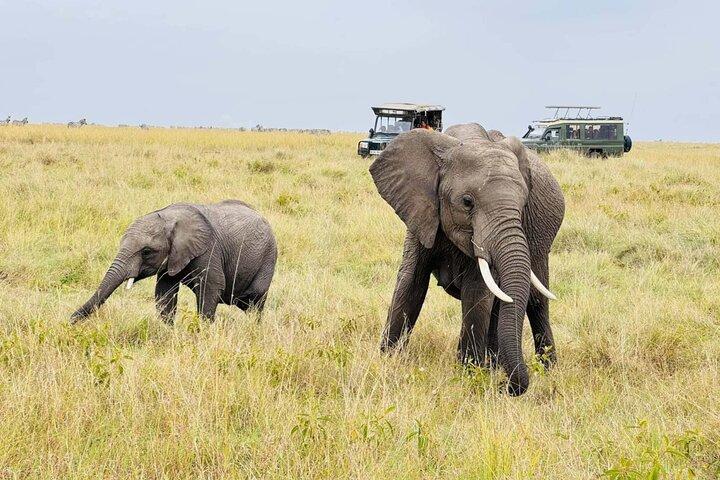 Safari Amboseli 2 jours 1 nuit