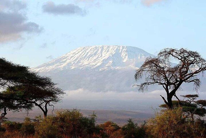 Safari Amboseli 2 jours 1 nuit