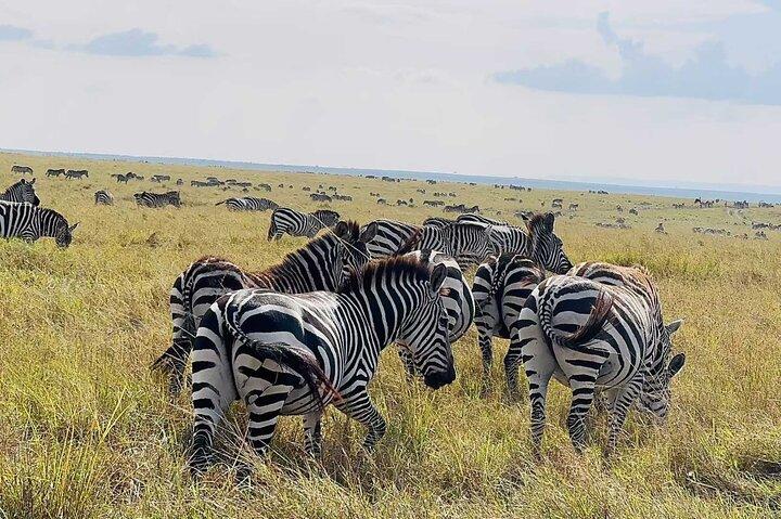 Safari Amboseli 2 jours 1 nuit
