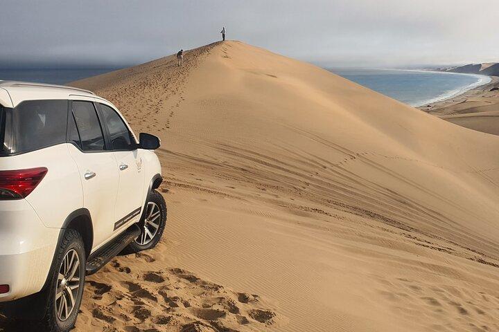 ウォルビスベイからサンドイッチハーバーデューンズ＆オーシャン4×4体験
