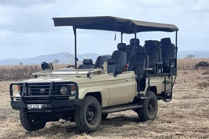 3 Tage 2 Nächte Safari in Mikumi.