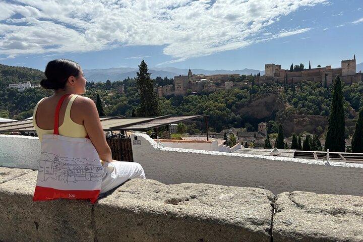 Panoramatour durch die Alhambra und Granada und Umgebung