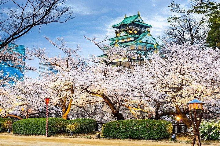 Osaka MegaPass : 公共交通機関を含む人気アトラクション