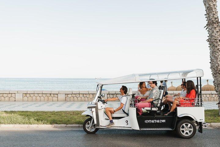 Velkommen til Malaga-tur i en privat øko-tuk-tuk med en lokal guide