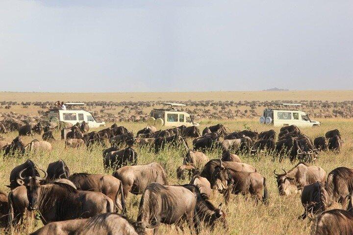 4 Day Tanzania Discovery Safari Tarangire and Serengeti Adventure