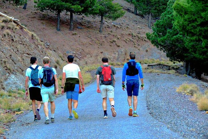 マラケシュから : アトラス山脈日帰り旅行 - 小グループ - Localpro