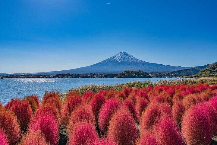 富士山氷川時計店押野八海と大石公園日帰り