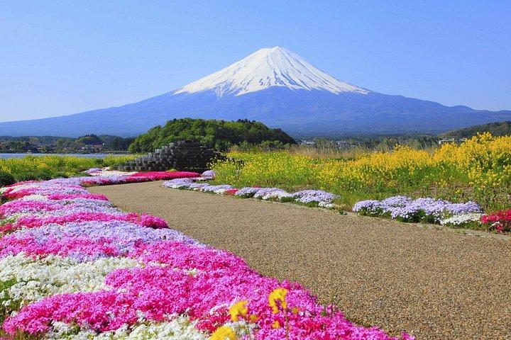 富士山氷川時計店押野八海と大石公園日帰り
