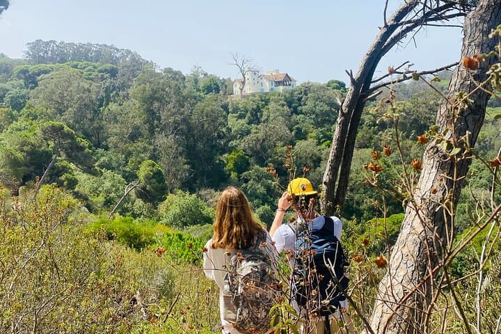 Tangier Coastal Hiking Adventure