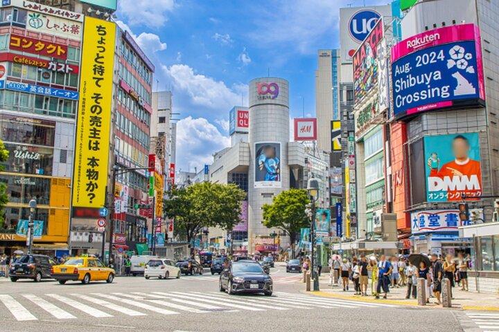 3-hour electric bicycle Private tour of Tokyo's famous sights