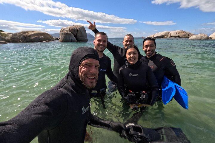 Blue Safari Kelp and Snorkeling Experience