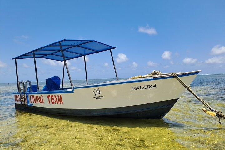 Coastal Explorer und Tropical Boat Ride