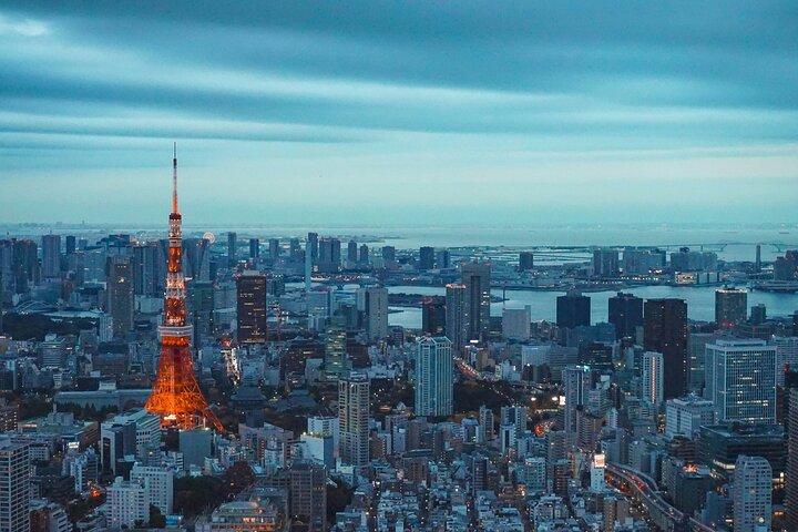 東京プライベートツアー：チームラボボーダレス＆東京シティビュー
