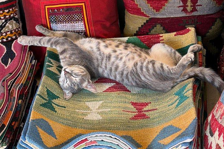 Discover Authentic Turkish Carpets with a 25-Year Local Expert