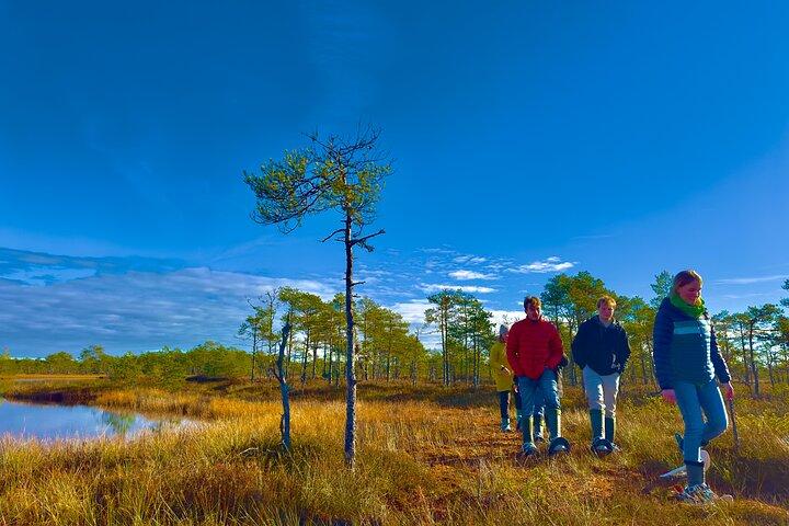 Excursão a pé em bog-shoe