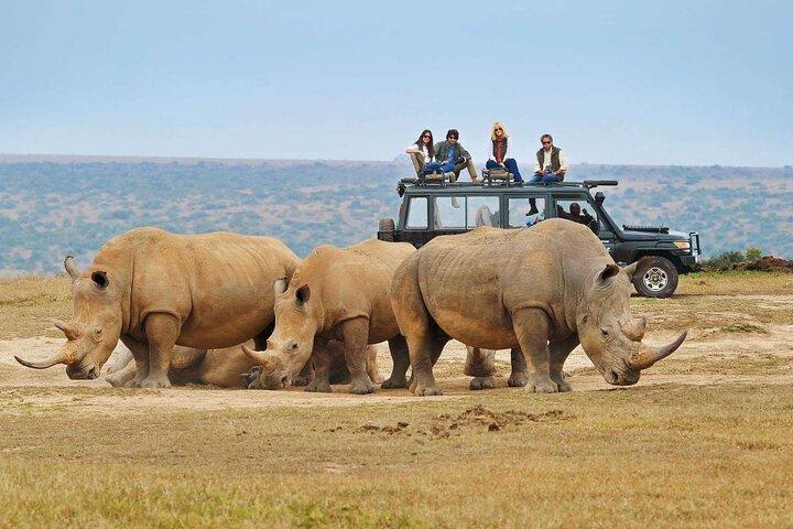 Rwandas eneste gruppe safari til Akagera