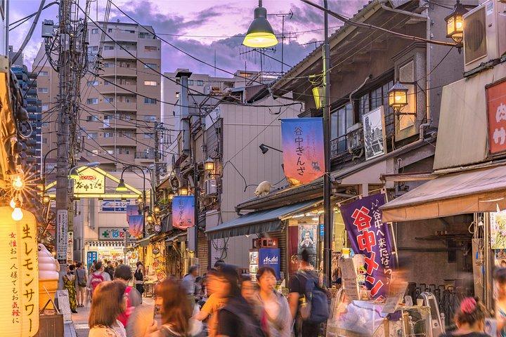 谷中・根津散策ツアー～江戸心を知る～