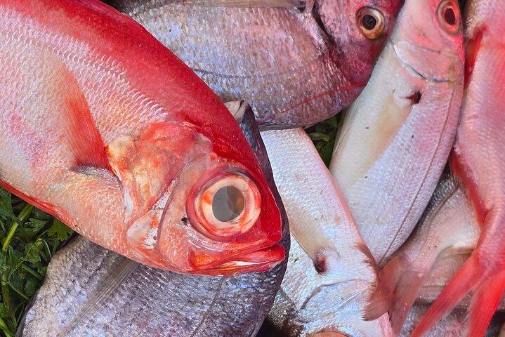 マラケシュから海岸沿いの街エッサウイラ1日観光
