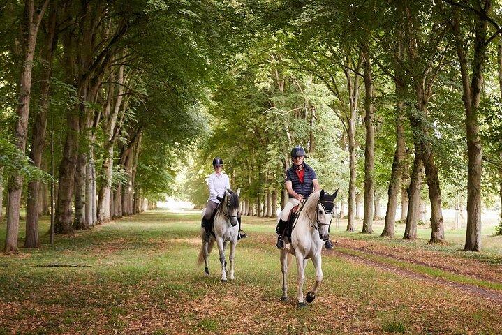 En dag i Versailles