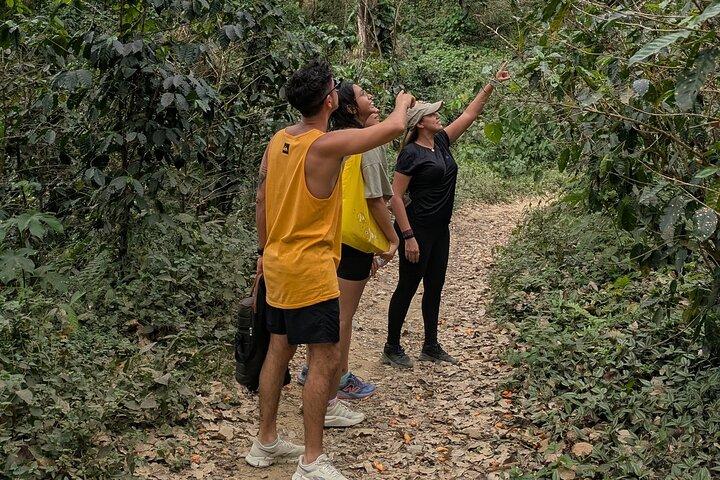 Rondleiding door Minca langs koffie, cacao en een waterval.
