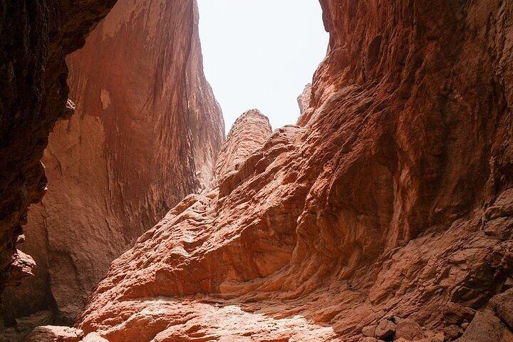 Red Rock Canyon busstur från Las Vegas