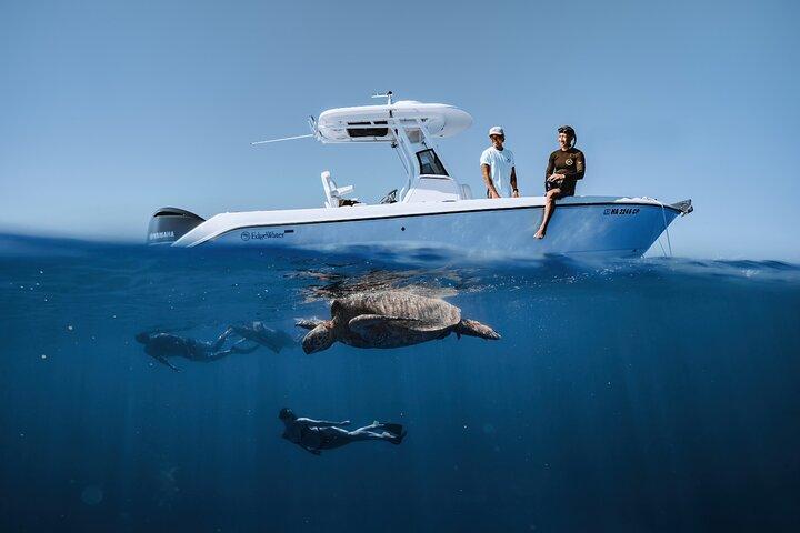 Buceo con tubo de tortuga en Waikiki, Oahu Semi Privado