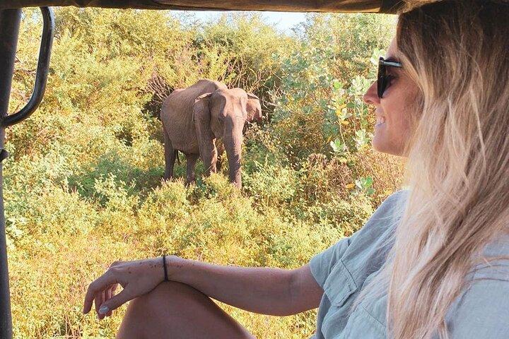 Tour di 7 giorni in Sri Lanka Hotel con colazione e auto di lusso