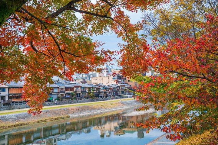 京都祇園小集団文化散歩 芸者の伝統を解説