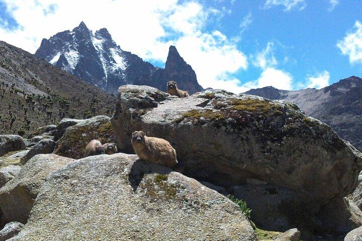 Mount Kenya Trek to Point Lenana 5 Day Adventure