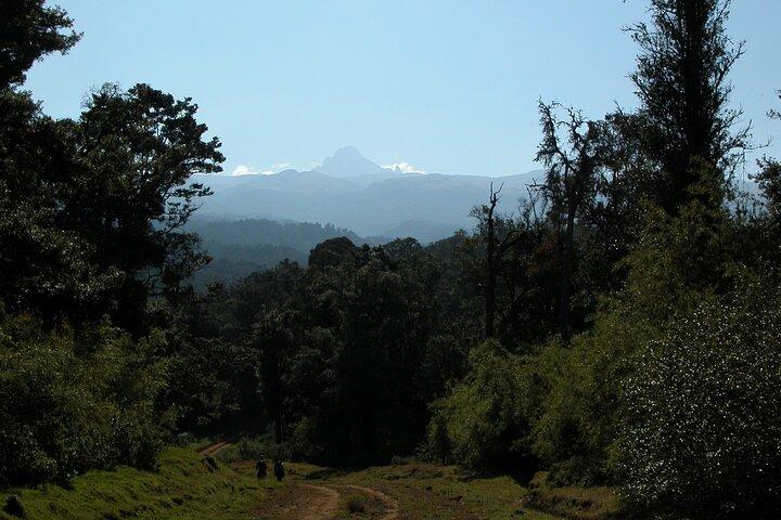 Mount Kenya Trek to Point Lenana 5 Day Adventure
