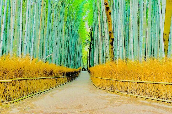 Points forts de Kyoto et Nara avec chauffeur et Guide anglophones