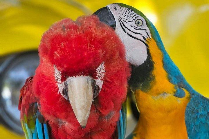 プエルトプラタVIP体験：都会と田舎の逃避行