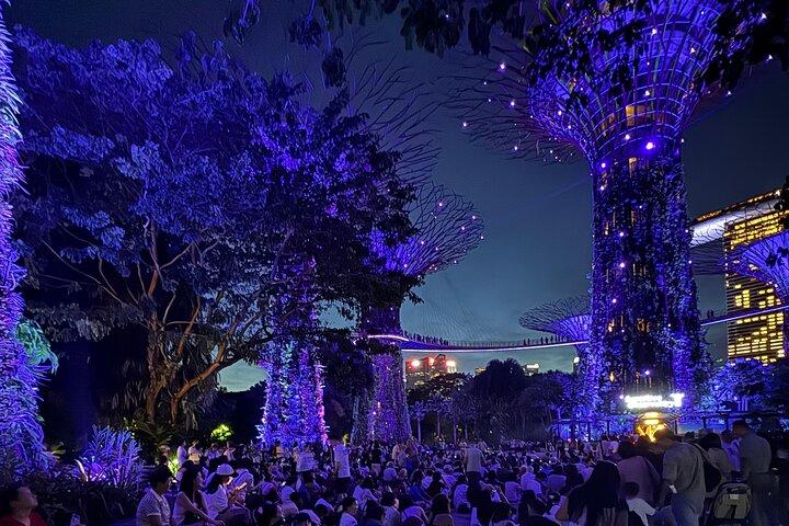 Singapore River Cruise, Night Garden Rhapsody en Spectra Tour