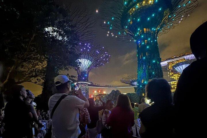 Singapore River Cruise, Night Garden Rhapsody en Spectra Tour