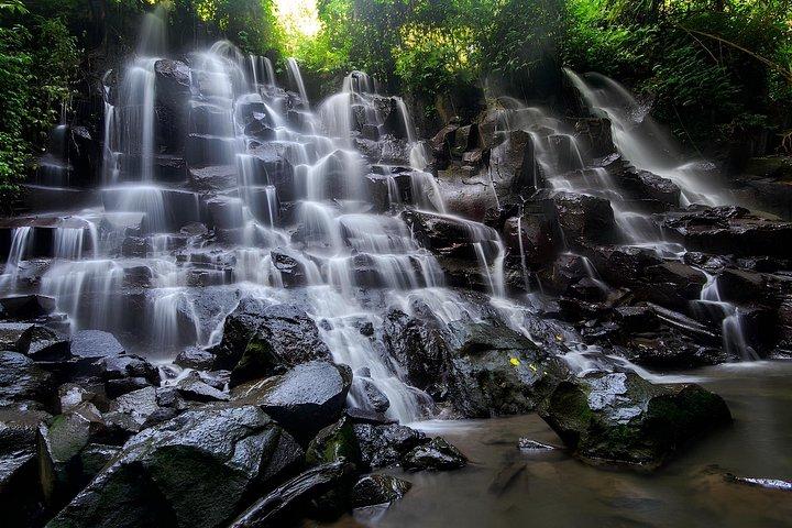 Bali Private Shore Excursion for Cruise Passengers All Inclusive