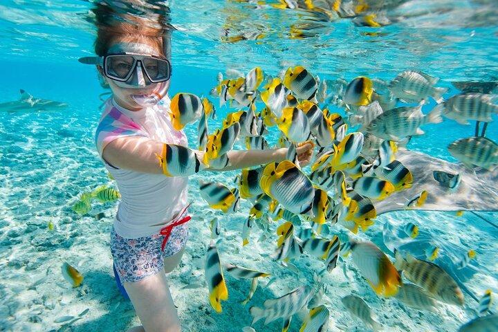 ヒルトゥガン島とパンダノン島ツアー参加