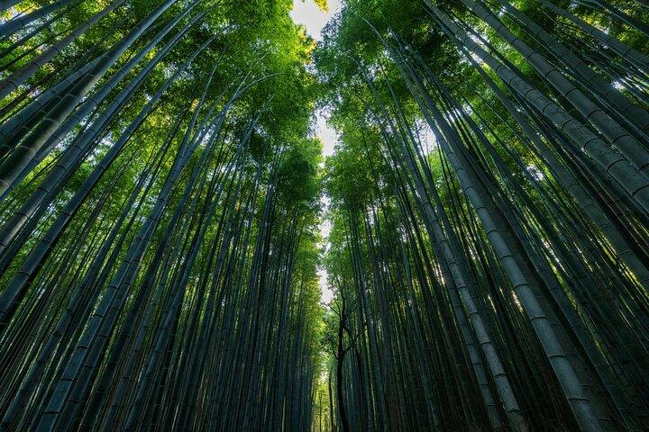 Udforsk Kyoto i stil: Templer, helligdomme og kulturelle højdepunkter