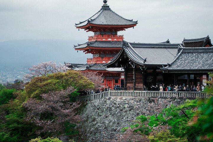 Explore Kyoto in Style: Temples, Shrines & Cultural Highlights